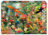 Puzzle Amazon Birds Educa 2000 dielov a Fix lepidlo od 11 rokov EDU20574