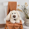 Plyšový psík Cookie Dog Histoire d’ Ours béžový 40 cm od 0 mes