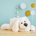 Plyšový psík Cookie Dog Histoire d’ Ours béžový 50 cm od 0 mes