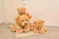 Plyšový medveď Gro’s Ours Honey Histoire d’ Ours hnedý 65 cm od 0 mes