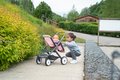 Kočík pre dvojičky Powder Pink Maxi Cosi&Quinny Smoby s bezpečnostným pásom pre 42 cm bábiky