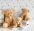 Plyšový medvedík Ours Vintage Histoire d’ Ours hnedý 27 cm od 0 mes
