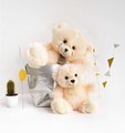 Plyšový medvedík Ours Bellydou Cream Histoire d’ Ours béžový 30 cm od 0 mes