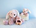 Plyšový zajačik Bunny Sweety Mousse Histoire d’ Ours v darčekovom balení ružový 25 cm od 0 mes