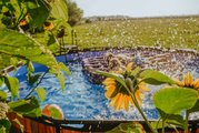 Bazén s filtráciou Wood pool Exit Toys kruhový oceľová konštrukcia 427*122 cm hnedý od 6 rokov