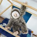 Plyšová opička Monkey Histoire d’ Ours v darčekovom balení hnedá 45 cm od 0 mes