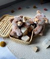 Plyšový lev Baby Lion Histoire d’ Ours v darčekovom balení hnedý 18 cm od 0 mes