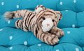 Plyšový tiger Bengaly the Tiger Histoire d’ Ours v darčekovom balení hnedý 25 cm od 0 mes
