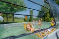 Kryt kopula pool cover Exit Toys na bazény s rozmerom 540*250 cm od 6 rokov
