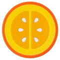 Silikónové hryzátko Pomaranč Soothing Silicone Teether Orange Infantino oranžové od 0 mes INF315305-01