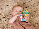 Silikónové hryzátko Friendship Teether Silicone Infantino od 0 mes INF316773