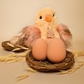 Plyšová sliepočka Chick À la Campagne Histoire d’ Ours rôzne farby 15 cm od 0 mes