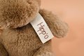 Plyšový hrošík Hippo Hot Chocolate Histoire d’ Ours hnedý 25 cm od 0 mes