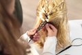 Česacia hlava pre kaderníčku so svetlými vlasmi My Beauty Blonde Styling Head Smoby vytváranie účesov s 19 doplnkami