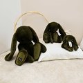 Plyšový zajačik The Bunny Kaki Histoire d’ Ours zelený 50 cm od 0 mes