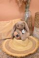 Plyšový zajačik The Bunny Hazelnut Histoire d'Ours hnedý 32 cm od 0 mes
