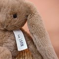 Plyšový zajačik The Bunny Hazelnut Histoire d'Ours hnedý 32 cm od 0 mes