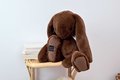 Plyšový zajačik The Bunny Coffee Histoire d’ Ours hnedý 50 cm od 0 mes