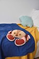 Plyšový krab Crab Marine Treasure Histoire d’ Ours hnedý 23 cm od 0 mes