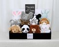 Plyšové zvieratko The Little Companions Histoire d’ Ours rôzne druhy 100% recyklovaný materiál 15 cm od 0 mes