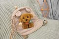 Plyšový psík Welcome Home SPA Collection Histoire d’ Ours v darčekovom balení hnedý 16 cm od 0 mes