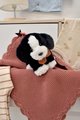 Plyšový psík Welcome Home SPA Collection Histoire d’ Ours v darčekovom balení čierno-biely 16 cm od 0 mes