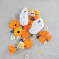 Prvé papučky pre bábätko Baby Socks White Doudou et Compagnie v darčekovom balení biele od 0-6 mes