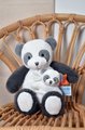 Plyšová panda s mláďatkom Panda Unicef Collection Doudou et Compagnie v darčekovom balení biela 25 cm od 0 mes