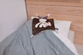 Plyšový medvedík na maznanie Bear Taupe Flat Comforter Doudou et Compagnie s QR kódom na rozprávky hnedý 25 cm od 0 mes