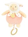 Plyšové zvieratko s melódiou Music Box Les Rikikis Doudou et Compagnie v darčekovom balení rôzne druhy 20 cm od 0 mes