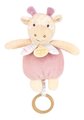 Plyšové zvieratko s melódiou Music Box Les Rikikis Doudou et Compagnie v darčekovom balení rôzne druhy 20 cm od 0 mes