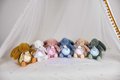 Plyšový zajačik Musical Night Light Star Projector Pink Doudou et Compagnie so svetlom hudbou a bielym šumom ružový 19 cm od 0 mes