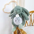 Plyšový zajačik Musical Night Light Star Projector Sage Green Doudou et Compagnie so svetlom hudbou a bielym šumom zelený 19 cm od 0 mes