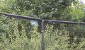 Záchytná sieť pre loptové hry Backstop sport net 900 Exit Toys oceľový rám 300*900 cm