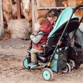 Trojkolka skladacia a sklápateľná smarTfold 6v1 smarTrike 300 Plus Blue TouchSteering kompaktná s EVA kolesami od 10 mes