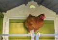 Kurín pre 5 sliepok Cluck Cluck Cottage Green Smoby 4 dvere so schodmi a kŕmidlom a hniezdo s falošným vajíčkom 128 cm výška