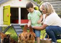Kurín pre 5 sliepok Cluck Cluck Cottage Green Smoby 4 dvere so schodmi a kŕmidlom a hniezdo s falošným vajíčkom 128 cm výška