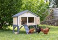 Kurín pre 5 sliepok Cluck Cluck Cottage Beige Smoby 4 dvere so schodmi a kŕmidlom a hniezdo s falošným vajíčkom 128 cm výška