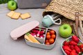 Box na desiatu Stainless Steel Lunch Box Beaba Velvet Grey/Dusty Rose 760 ml z nehrdzavejúcej ocele sivo-ružový