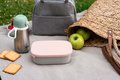 Box na desiatu Stainless Steel Lunch Box Beaba Velvet Grey/Dusty Rose 760 ml z nehrdzavejúcej ocele sivo-ružový