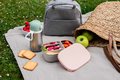 Box na desiatu Stainless Steel Lunch Box Beaba Velvet Grey/Dusty Rose 760 ml z nehrdzavejúcej ocele sivo-ružový