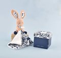 Plyšový zajačik na maznanie Bunny Navy Boh'aime Doudou et Compagnie modrý 12 cm v darčekovom balení od 0 mes