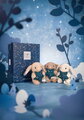 Plyšový zajačik s hviezdičkou Kozorožec Brown Bunny Capricorn Astro Plush with Comforter Doudou et Compagnie v darčekovom balení hnedý 12 cm od 0 mes 