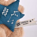 Plyšový zajačik s hviezdičkou Vodnár Brown Bunny Aquarius Astro Plush with Comforter Doudou et Compagnie v darčekovom balení hnedý 12 cm od 0 mes DC46