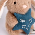 Plyšový zajačik s hviezdičkou Ryby Brown Bunny Pisces Astro Plush with Comforter Doudou et Compagnie v darčekovom balení hnedý 12 cm od 0 mes DC4662