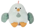 Plyšový vtáčik Almond Chick Soft Toy Les Piou Doudou et Compagnie zelený 15 cm od 0 mes DC4701