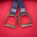 Školský batoh veľký Ergomaxx Saddle Bag Jeune Premier ergonomický luxusné prevedenie 41*27 cm