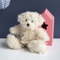 Plyšový medvedík Calin Bear Histoire d’ Ours béžový 21 cm od 0 mes