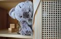 Plyšová koala Histoire d’ Ours sivá 18 cm od 0 mes