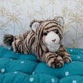 Plyšový tiger Bengaly the Tiger Histoire d’ Ours hnedý 35 cm v darčekovom balení od 0 mes